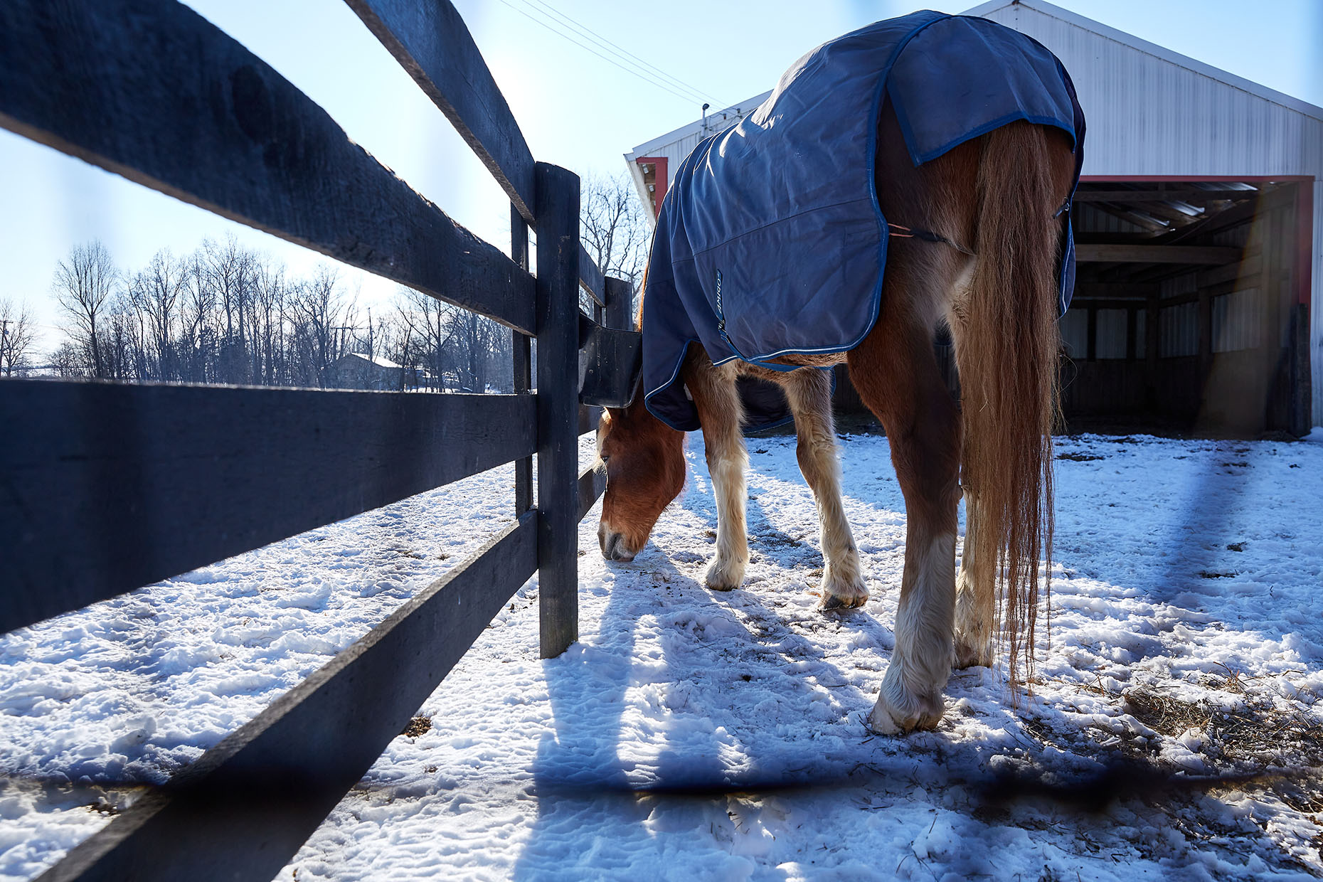 06_20210219-KYP-Winter-1558_web