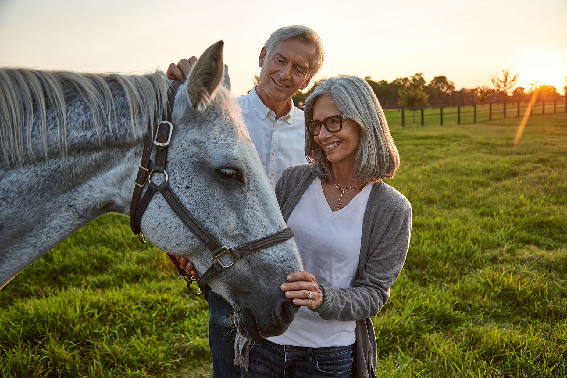 A couple in the pasture with a beautiful horse at sunset